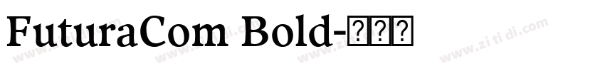 FuturaCom Bold字体转换